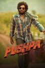 Pushpa – The Rise