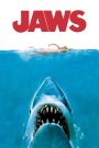 Download Jaws (1975) Dual Audio [Hindi – English] Movie 480p | 720p | 1080p BluRay