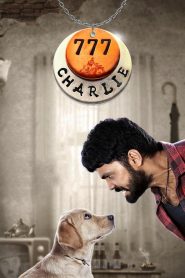 777 Charlie( 2022) Hindi Dual Audio 1080p and 720p
