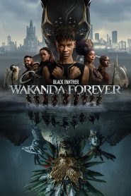 Black Panther: Wakanda Forever (2022) English WEB-DL 1080p 720p & 480p x264 DD2.0 | Full Movie
