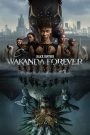 Black Panther: Wakanda Forever (2022) English WEB-DL 1080p 720p & 480p x264 DD2.0 | Full Movie