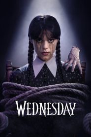 Wednesday Session 2 Hindu Dub 2025