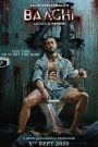 Baaghi 4